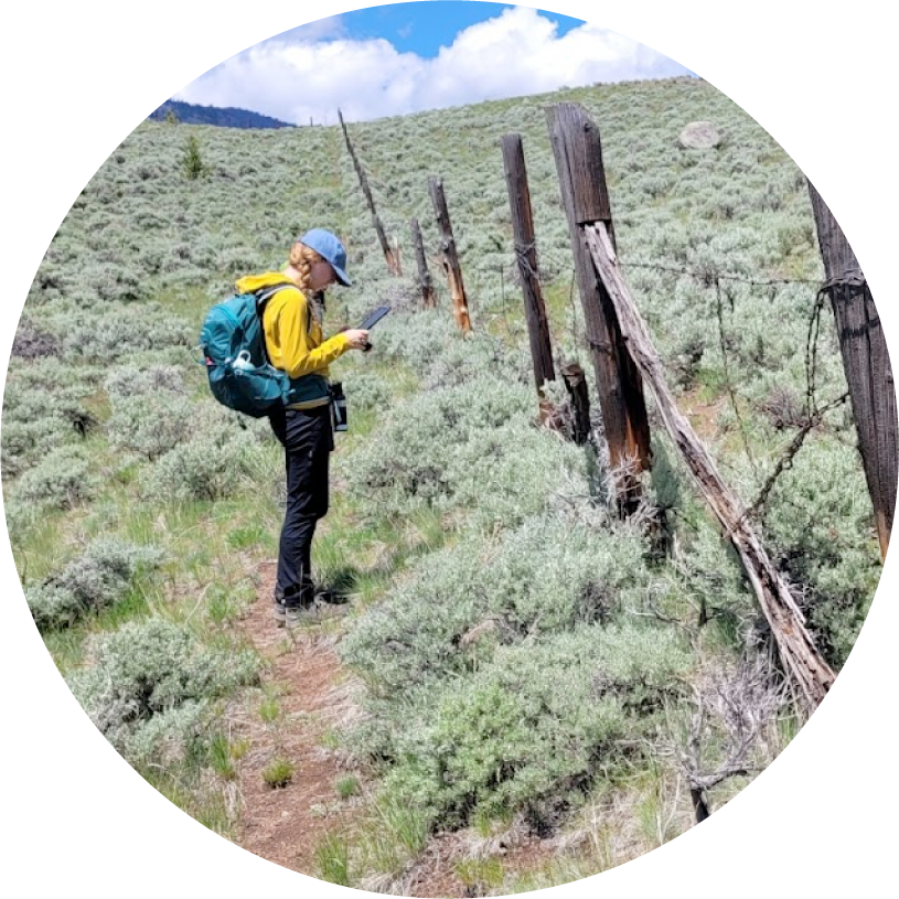 Researcher standing next to a fence in a field